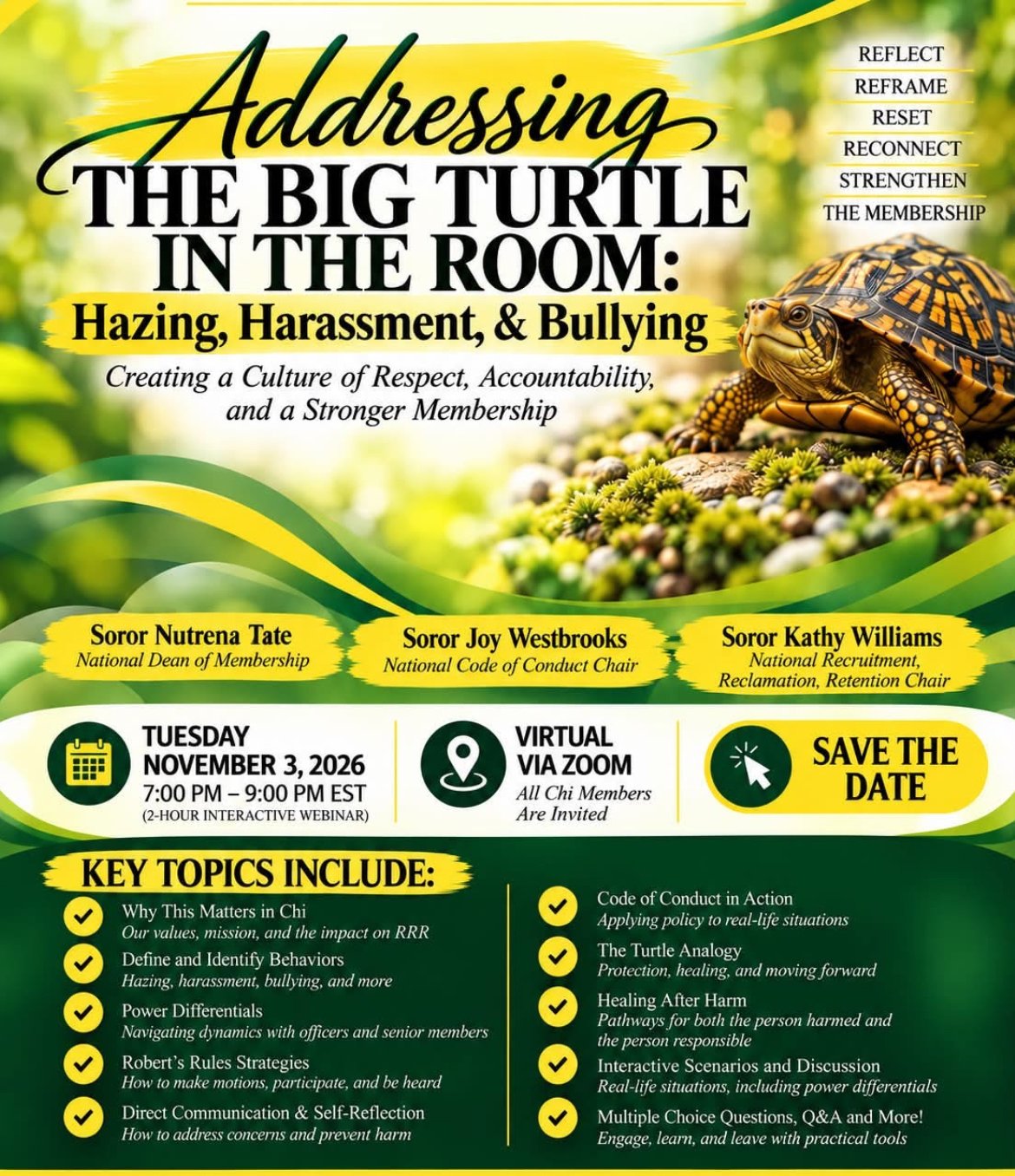 Member Only - Addressing The Big Turtle In The Room